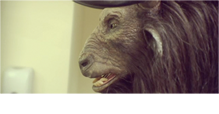 RJD2